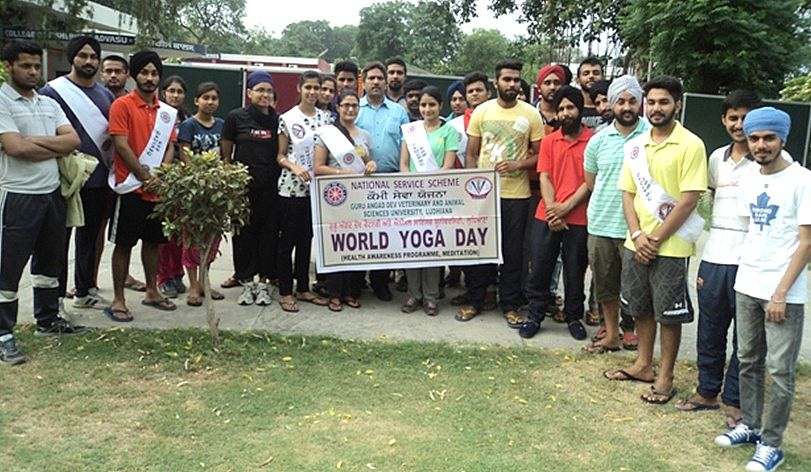 NSS Cell of GADVASU celebrates International Yoga Day on 21st June,2015